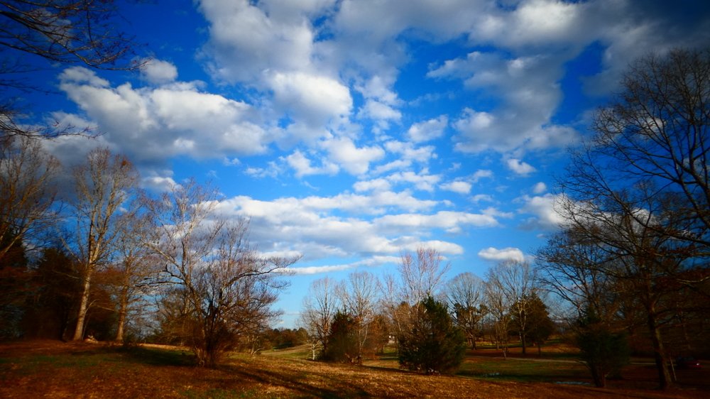 Голубое утро.