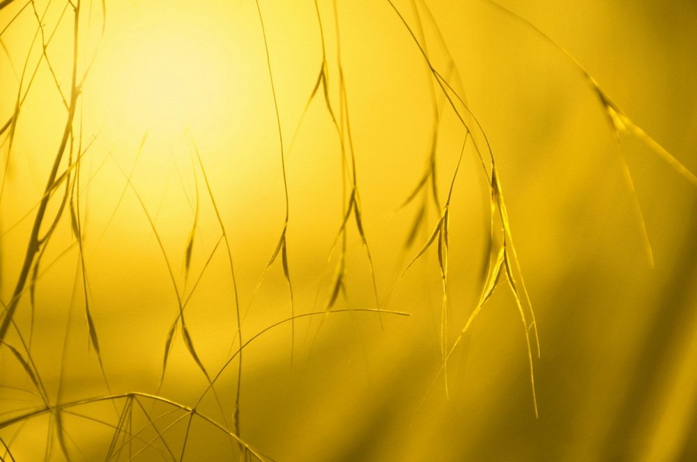 Photograph by Сергей Бережной