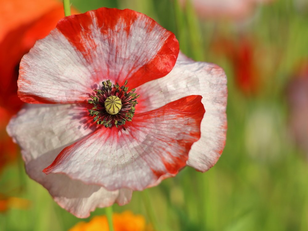 Для настроения