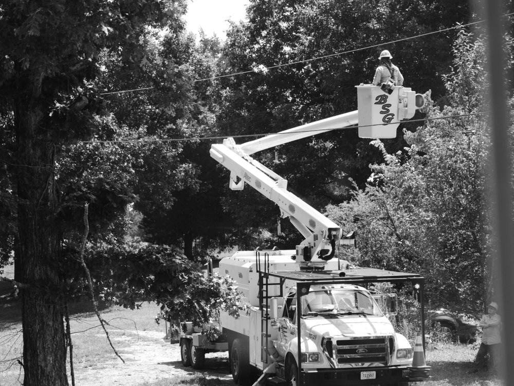 Обпиливание веток.