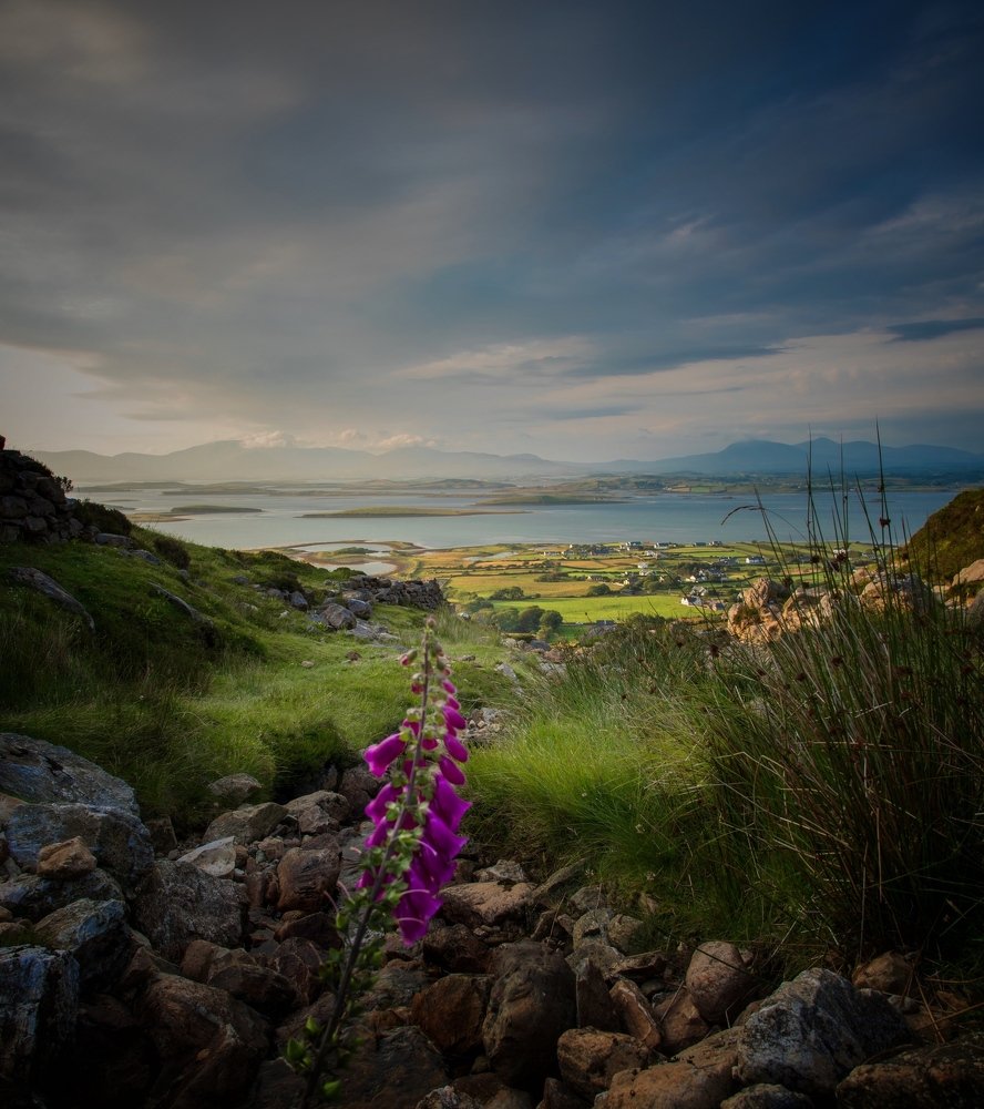 Croagh Patrick