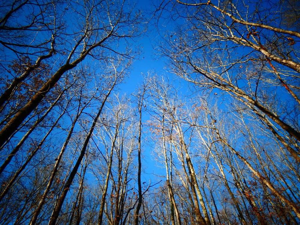 Небо весной.