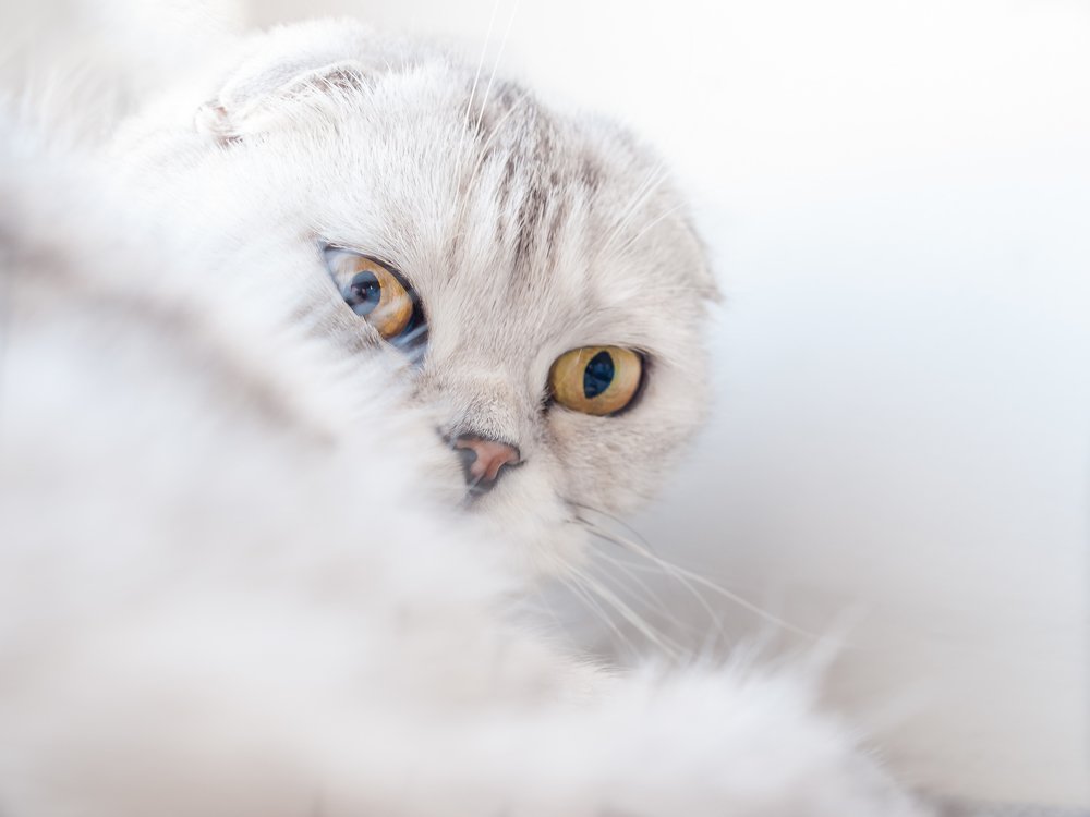 Photograph by Миленькая Наталья