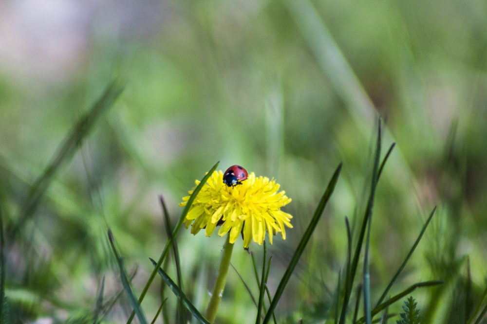 Photograph by Дмитрий Тимин