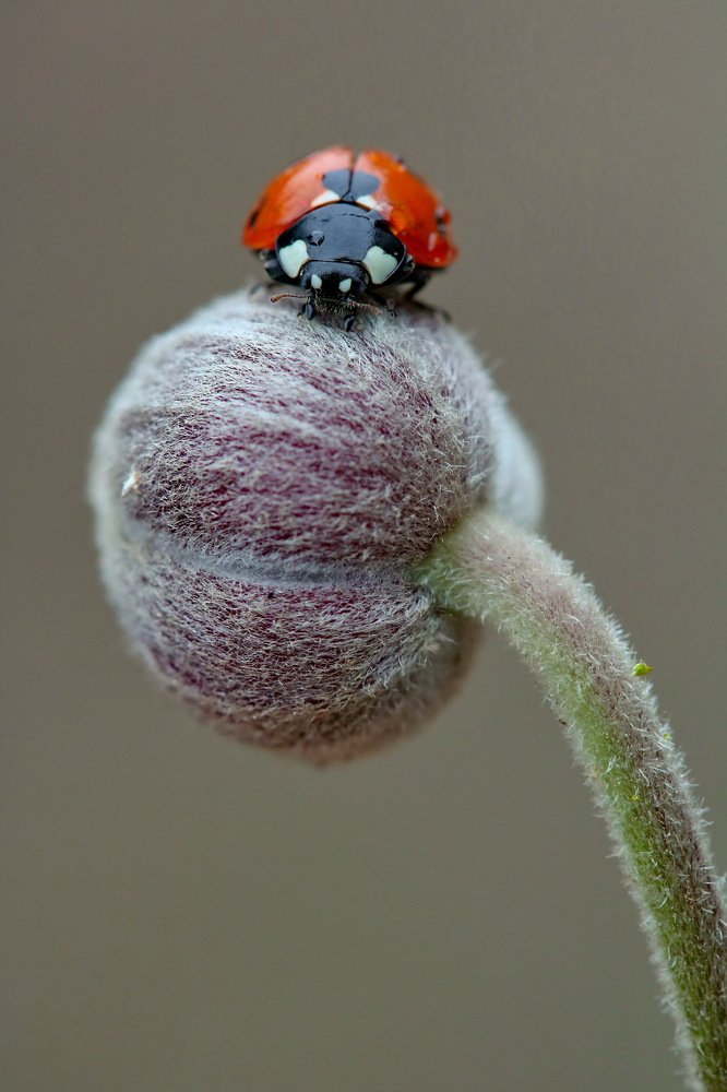 Photograph by Игорь Осипов