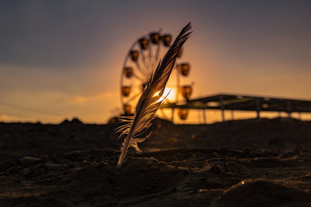 Перо на рассвете