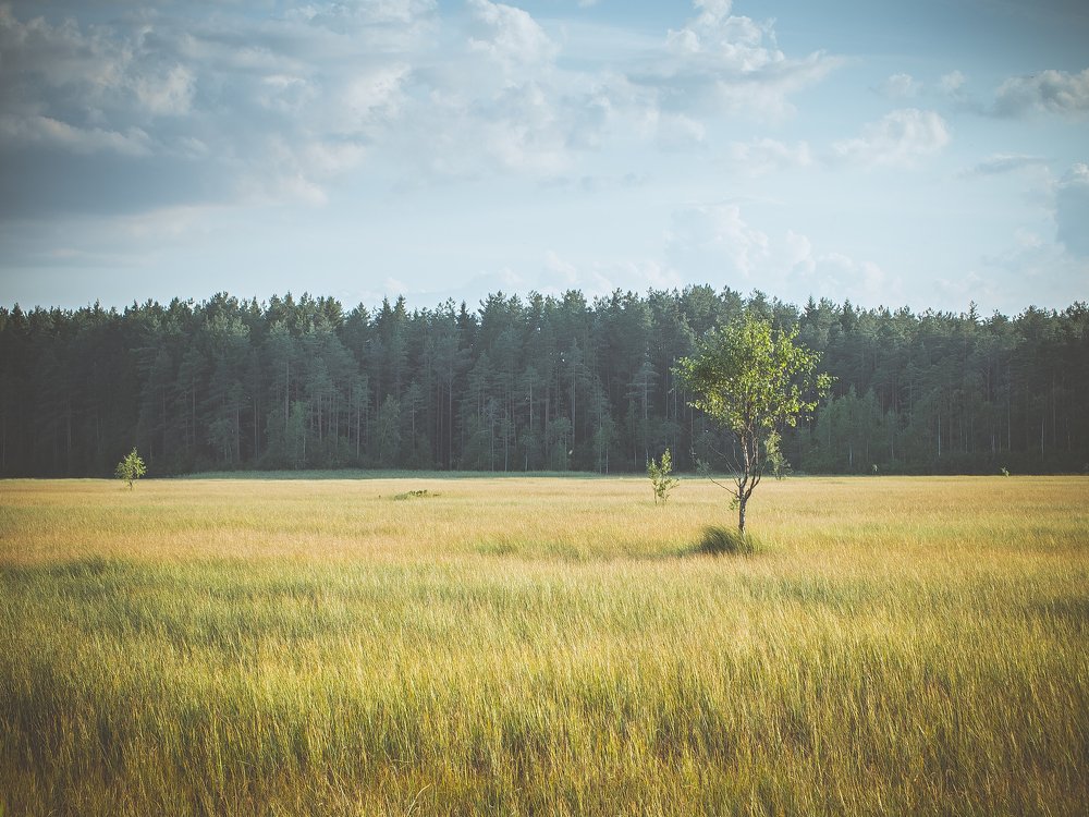 Одиночество.