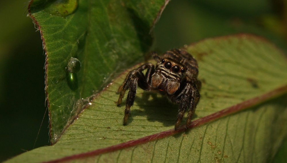 Photograph by Андрей Шартов