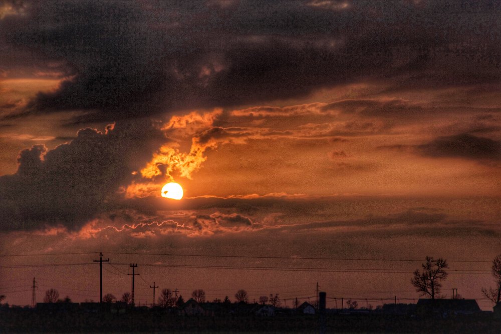 Photograph by Przemyslaw Wlodkowski