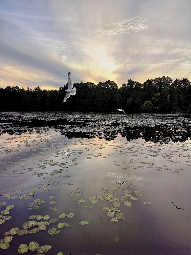 Закат на Введенском озере...