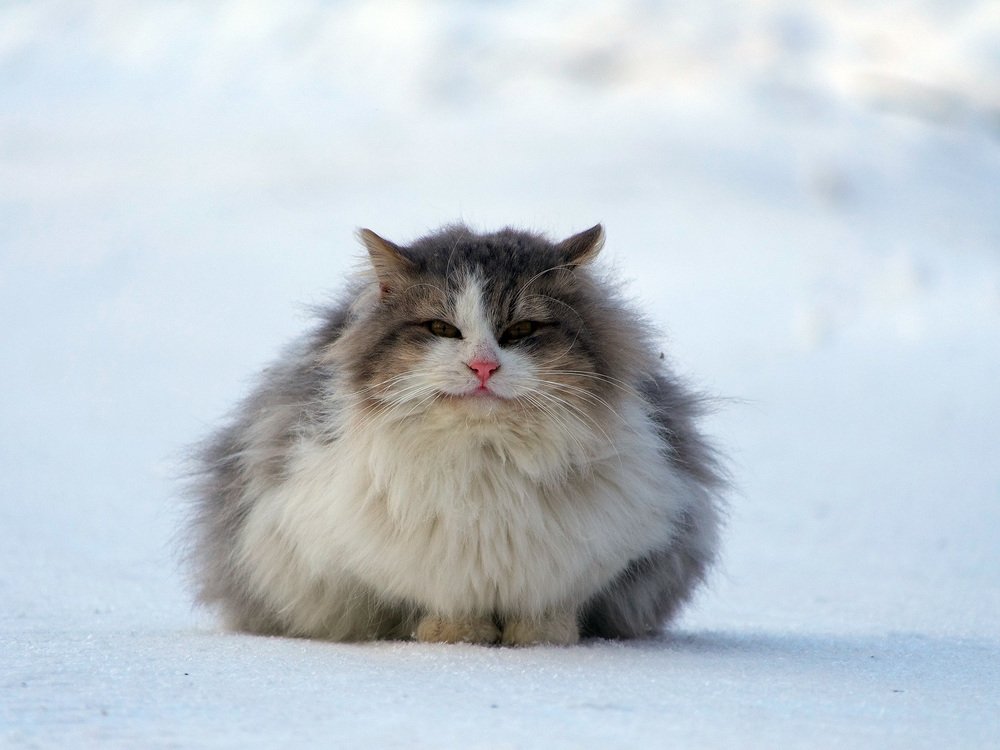 Март пришел