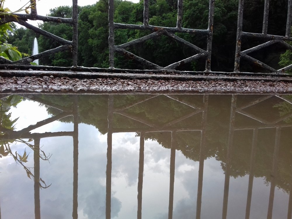 Photo #3467307