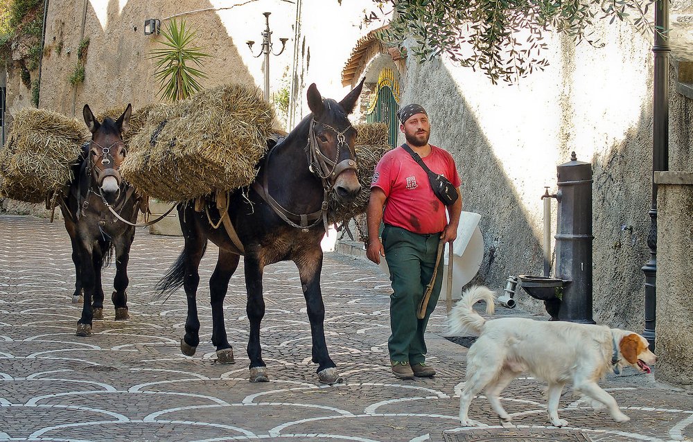 Крестьянин. Амальфитанское побережье