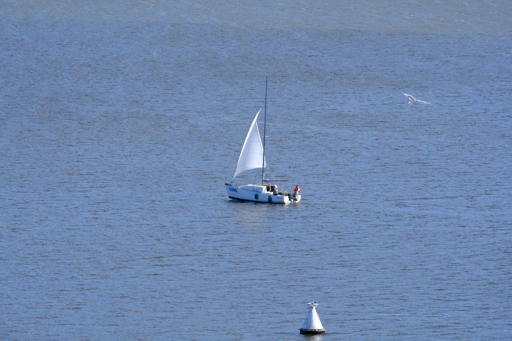 Photograph by Сильвер 