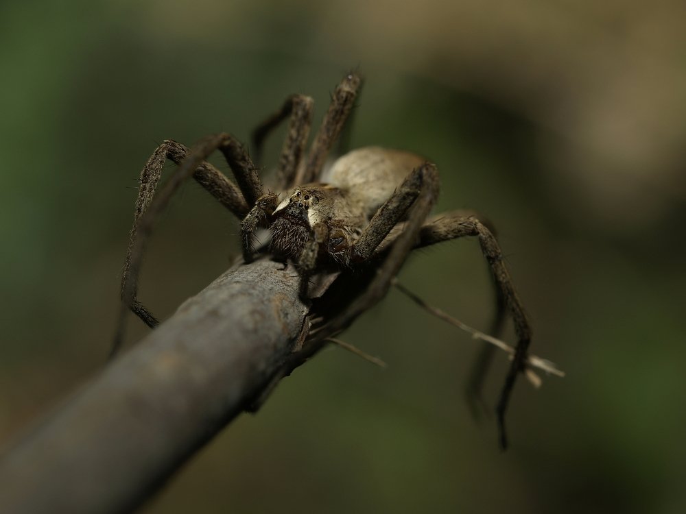 Photograph by Кирилл Лунченко