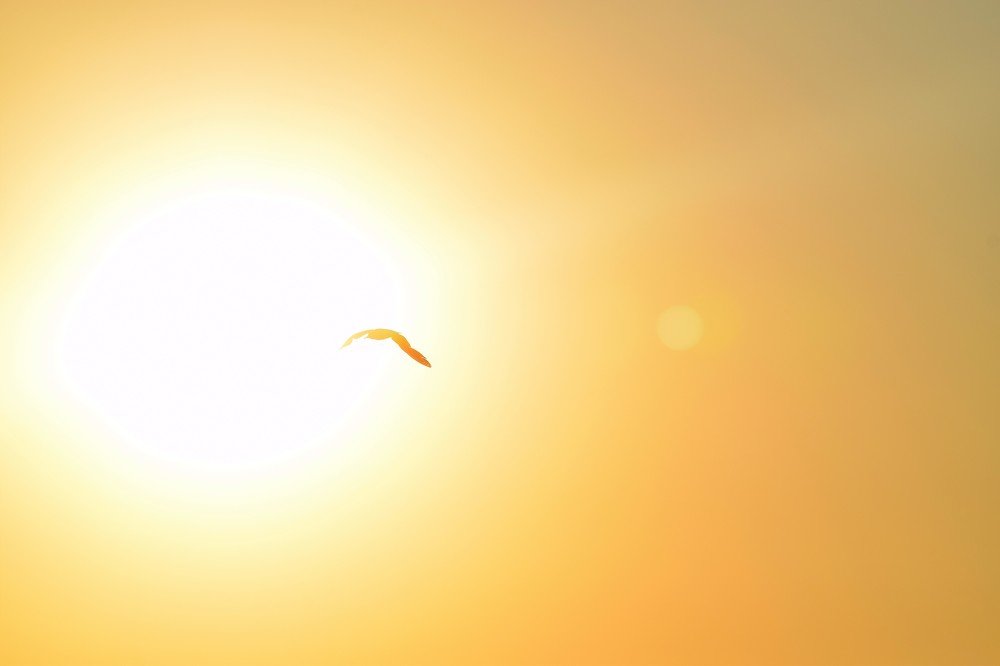 только вперед