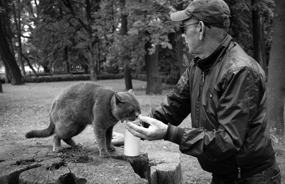 Друзья-товарищи
