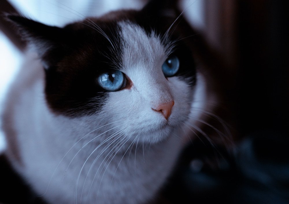 Photograph by ИРЕНА Федорова