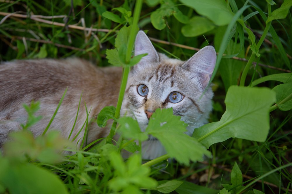 Photograph by Михаил Рогачев