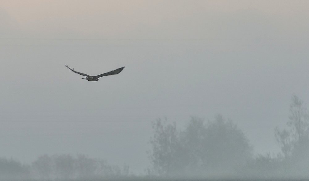 Парящая смерть