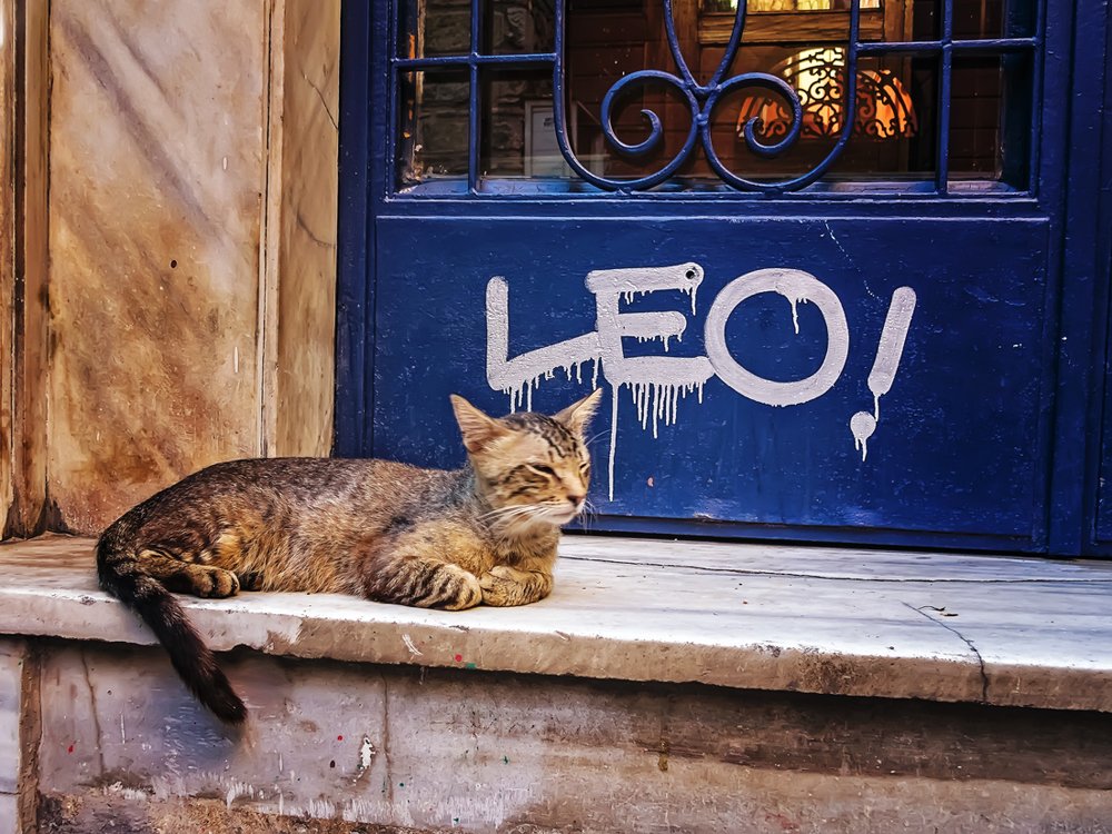 Leo