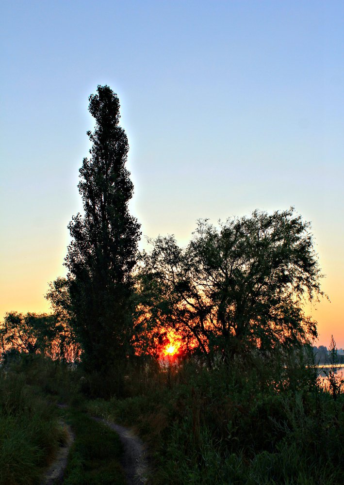 Photograph by анатолий