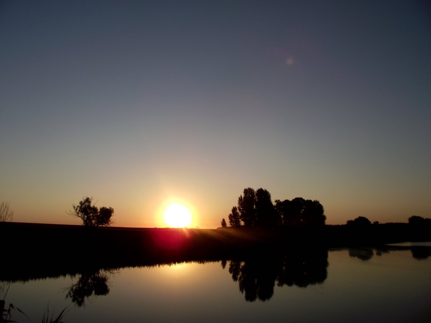 Photo #3467734