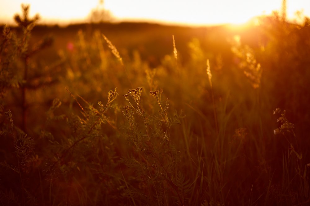 Фотография автора Вадим Белов