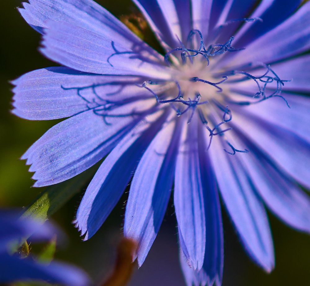 Фотография автора Александр Медведев