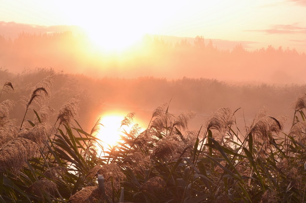 На рассвете