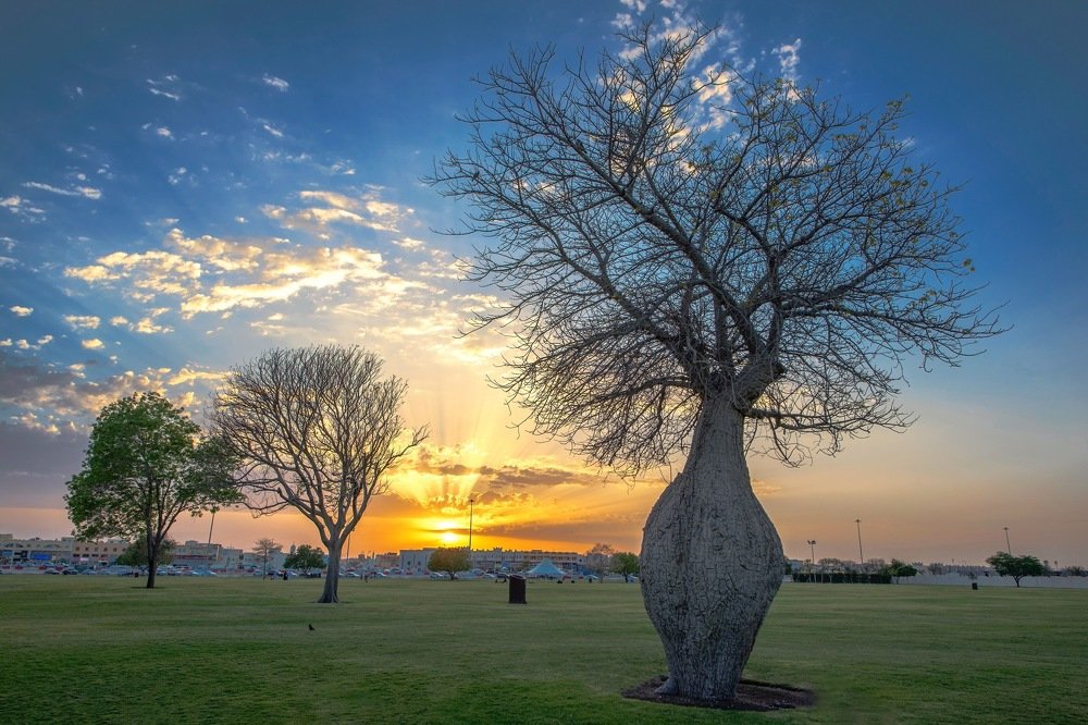 Sunset at Aspire Park