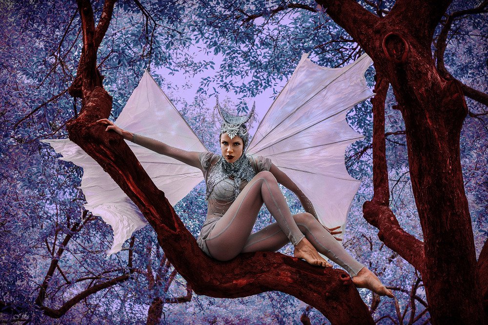 Magic Forest. Himera