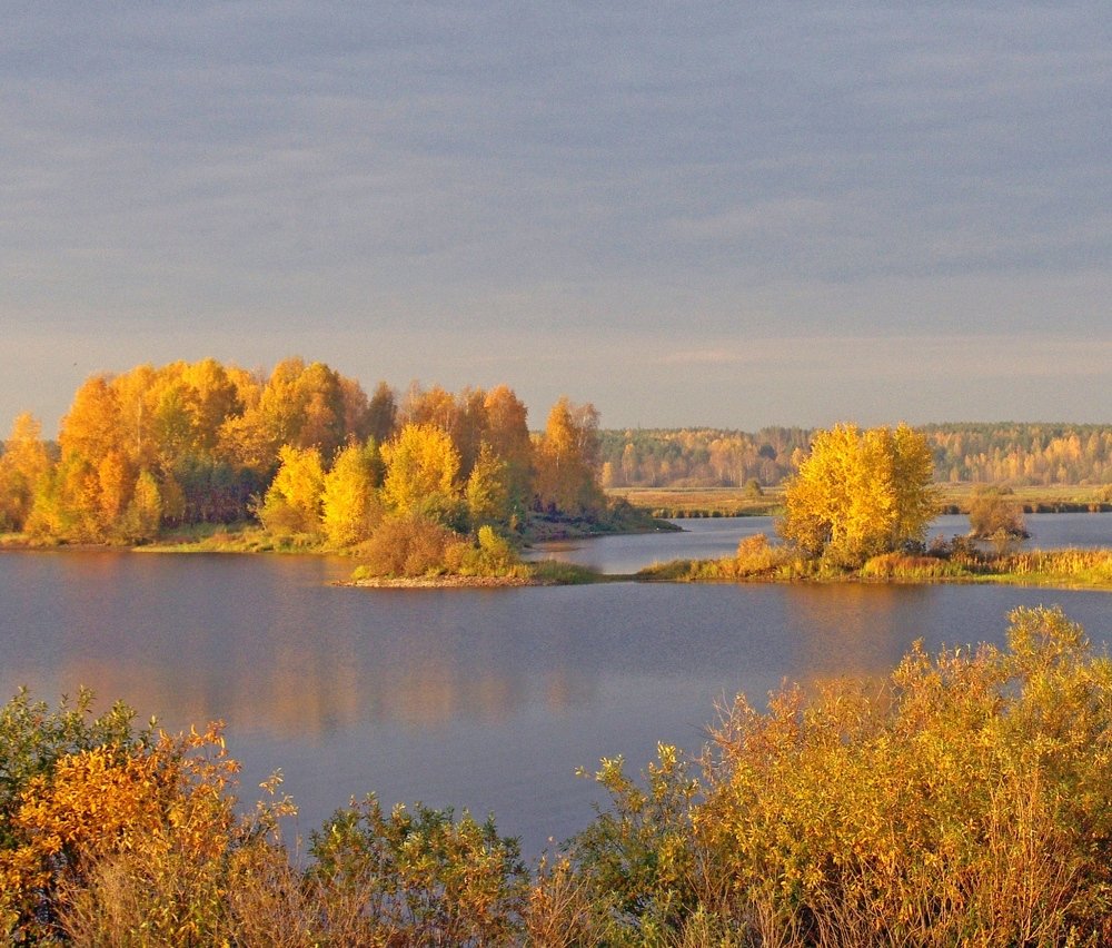 Осенняя позолота