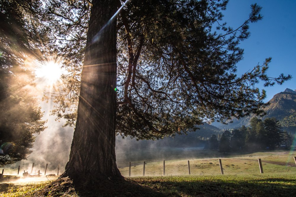 Рассветная Дымка в горах