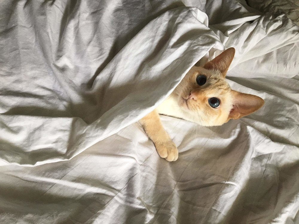 Photograph by Татьяна Чернышова