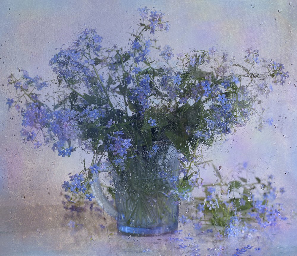 Фотография автора Марина Кулакова