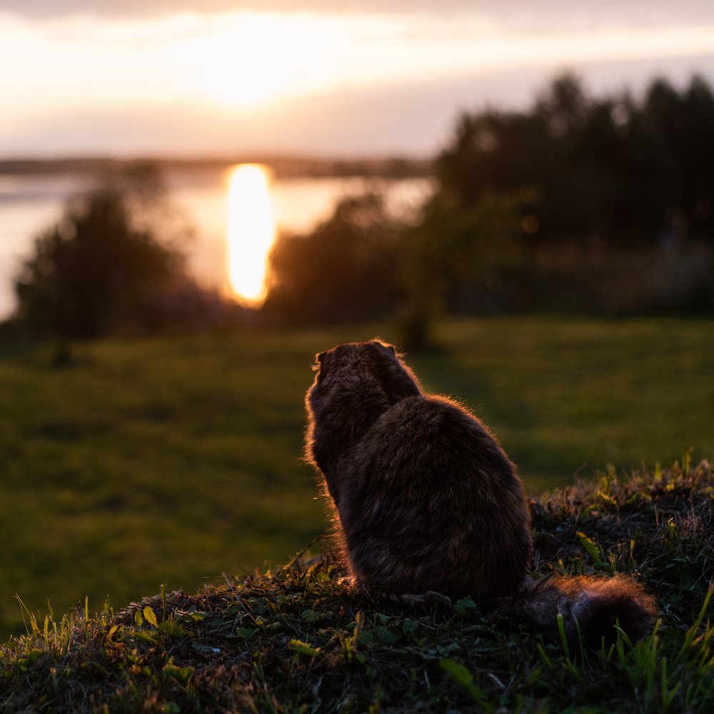 Photograph by Прокошева Екатерина