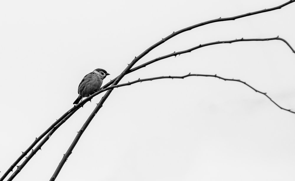 Photograph by Dorka Ispán