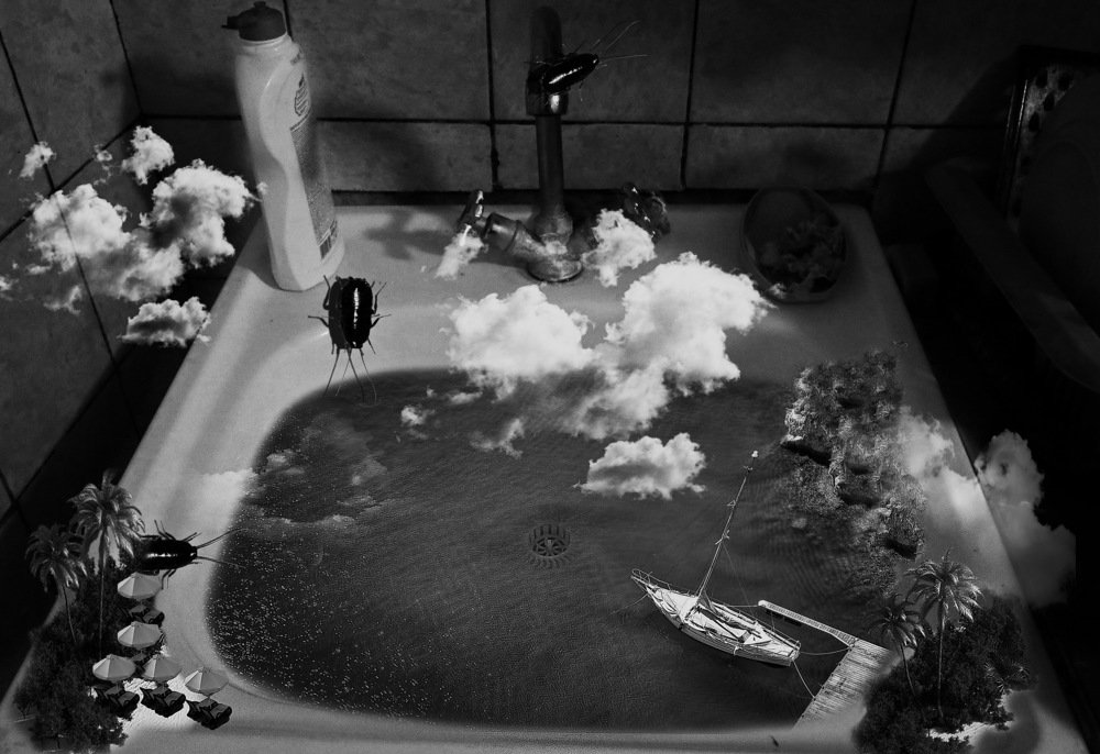 Фотография автора Анатолий Мироненко