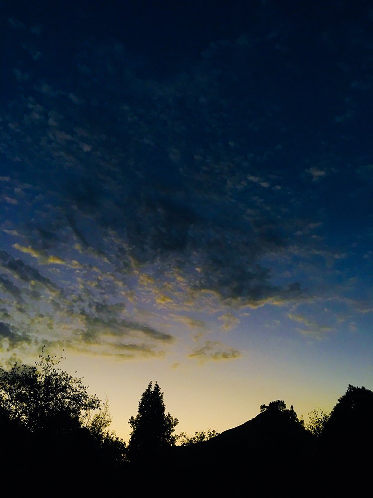 Photograph by asal esteki