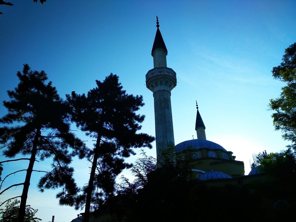 Мечеть в ночи