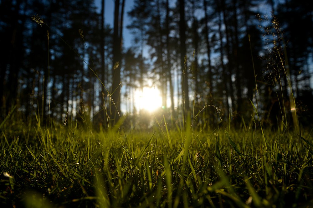 Закат в костромской области