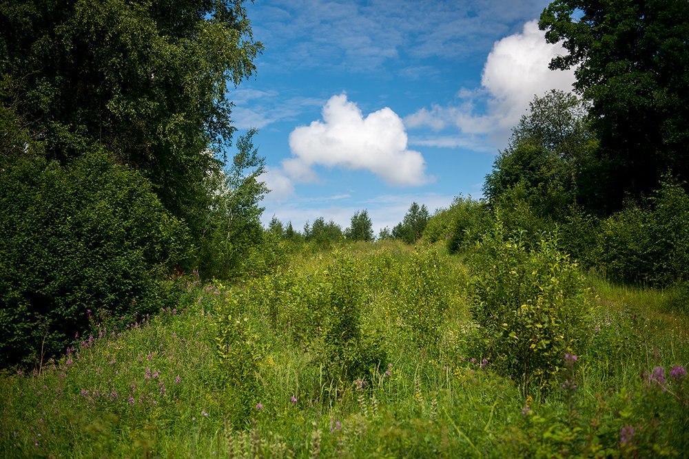 Рассвет в костромсокй области