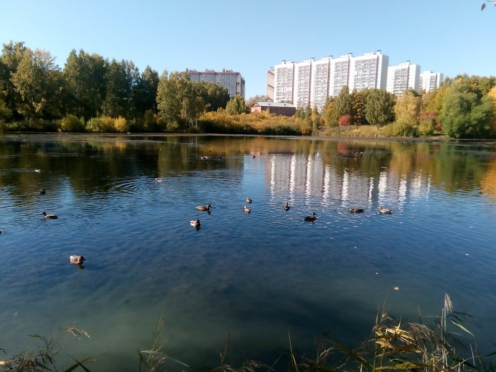 На озере