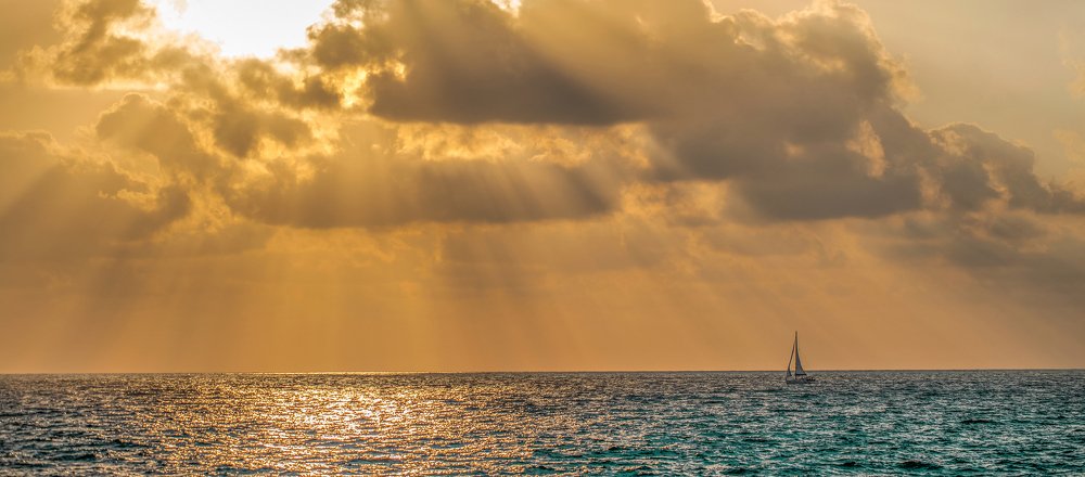 Photograph by Дмитрий Самборский