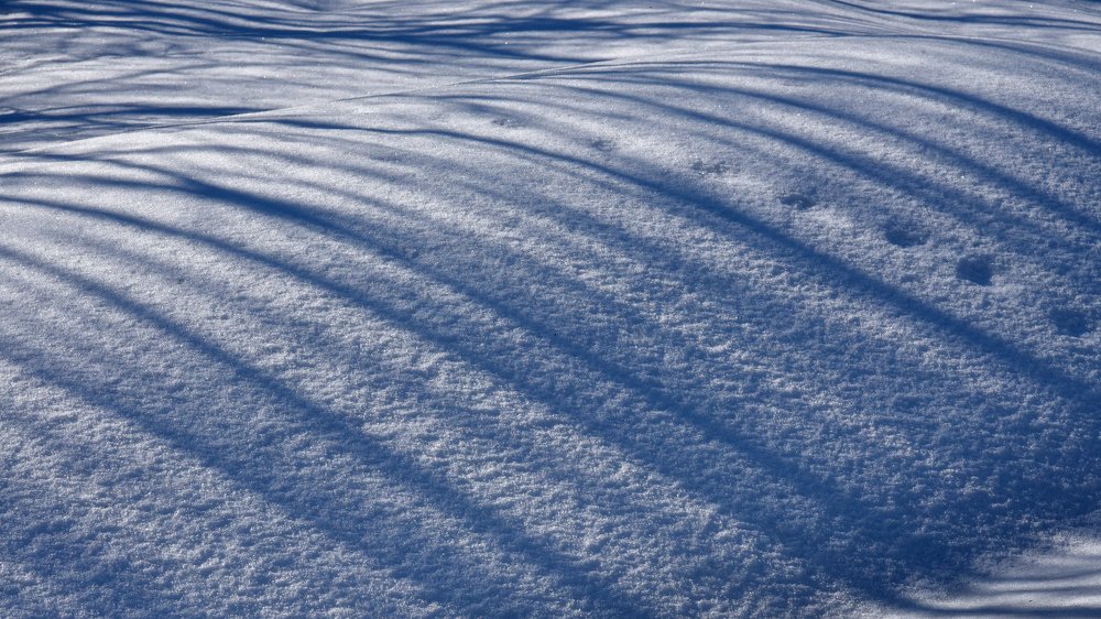 ЛУННАЯ СОНАТА