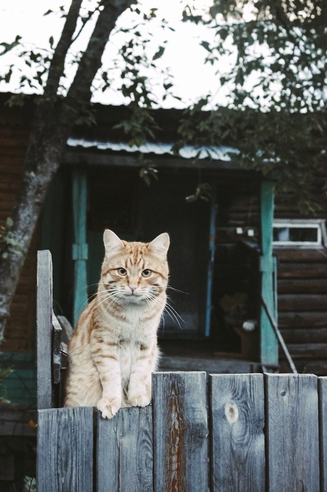 Суровый снаружи,мягкий внутри