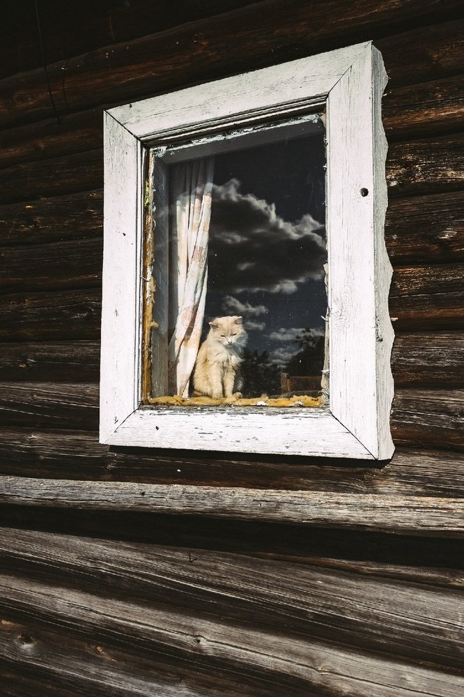 Photograph by Юсупова Елена