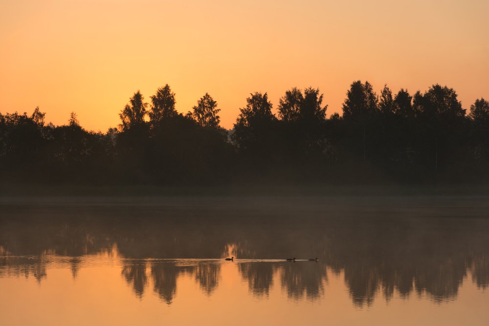 Photograph by Nau-Nau