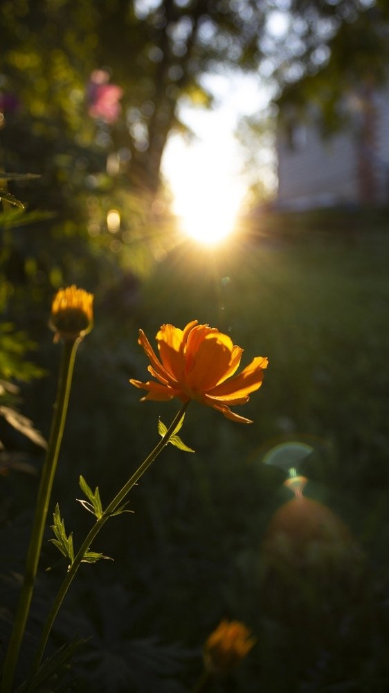 Photograph by Юсупова Елена